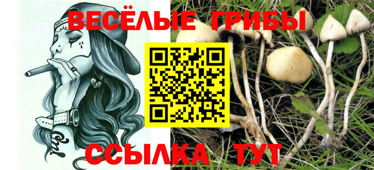 ГАШ  COCAIN  Метамфетамин  Меф   Alpha PVP СК   Мефедрон  Бошки Шишки  Вейп ТГК  ГАШ  Ахтубинск  Вход с VPN  АМФ кристаллы 